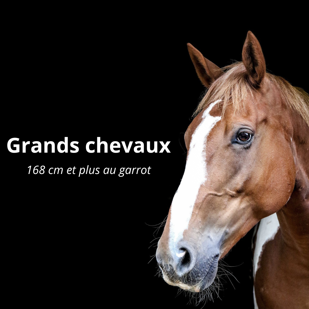 Catégorie bandes de repos pour grands chevaux du site Cheval de Troyes.